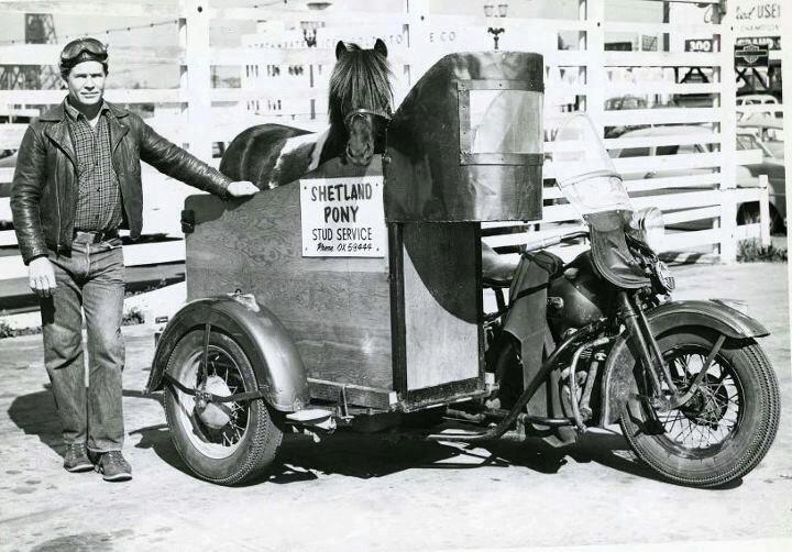 How to Transport a Horse with a Motorcycle